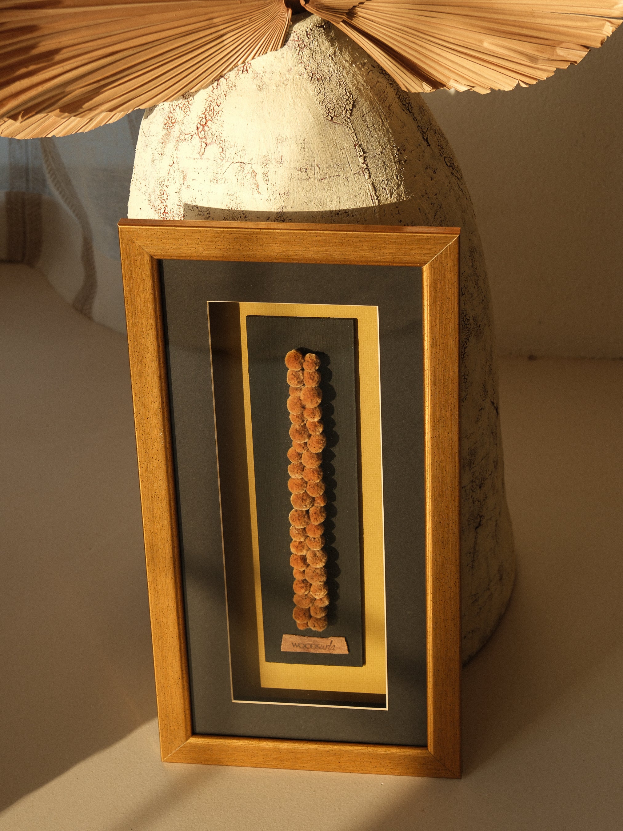 KÜRELERİN KAYITLARI 27x52x4cm
