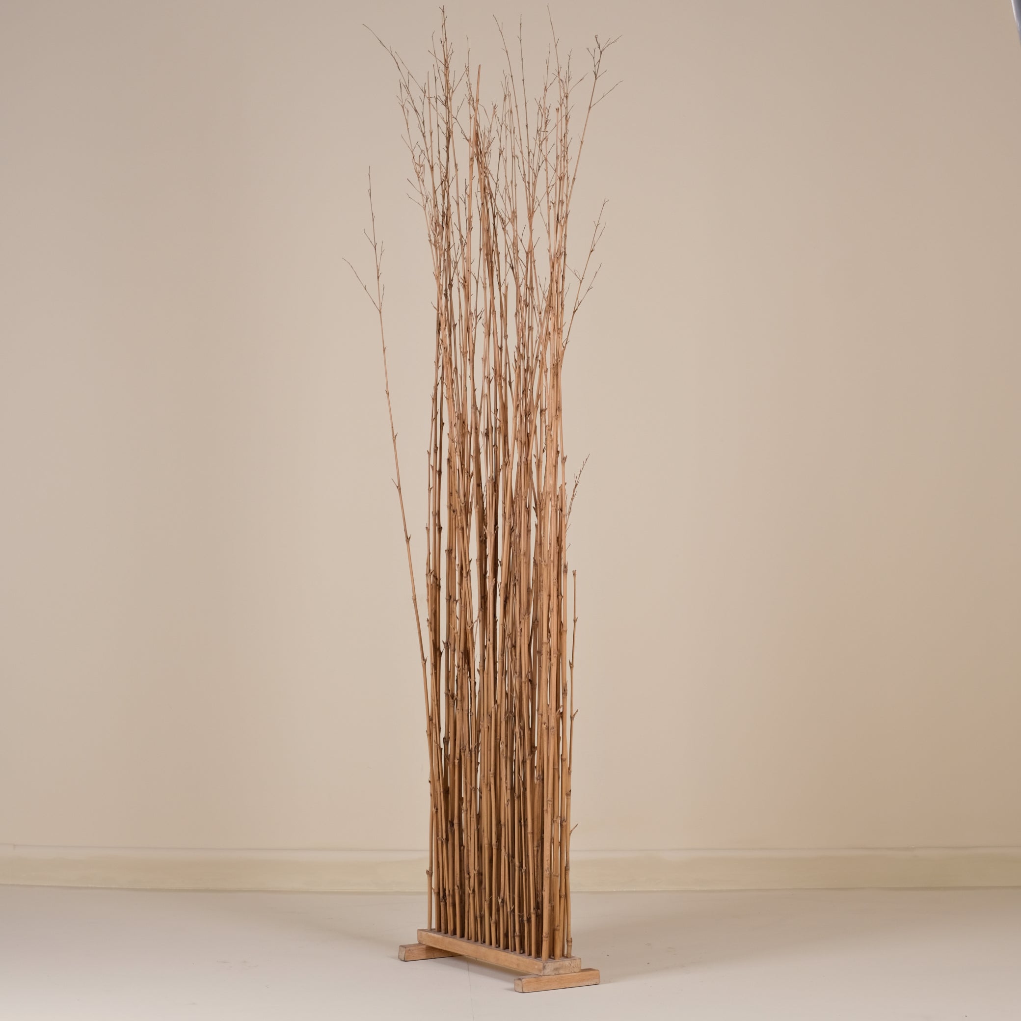 TEAK FOSİL SEPERATÖR