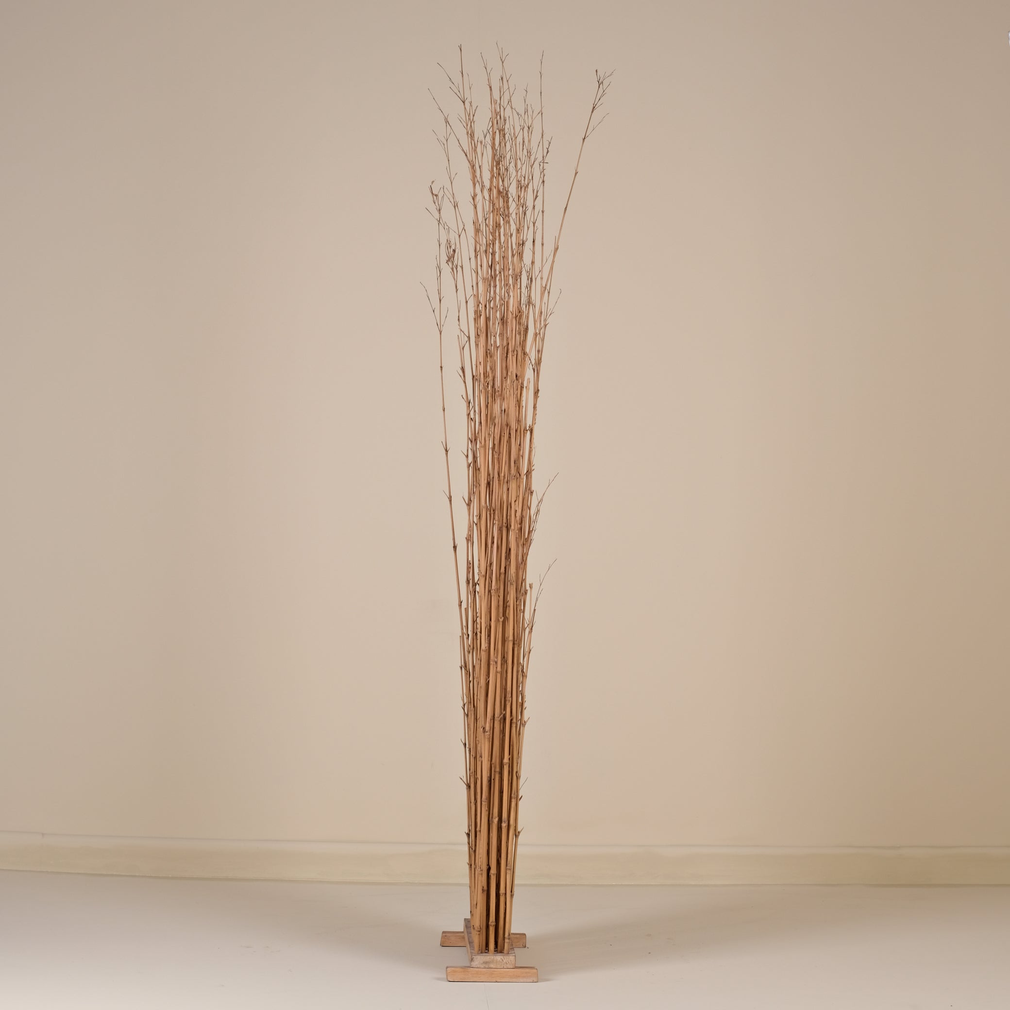 TEAK FOSİL SEPERATÖR