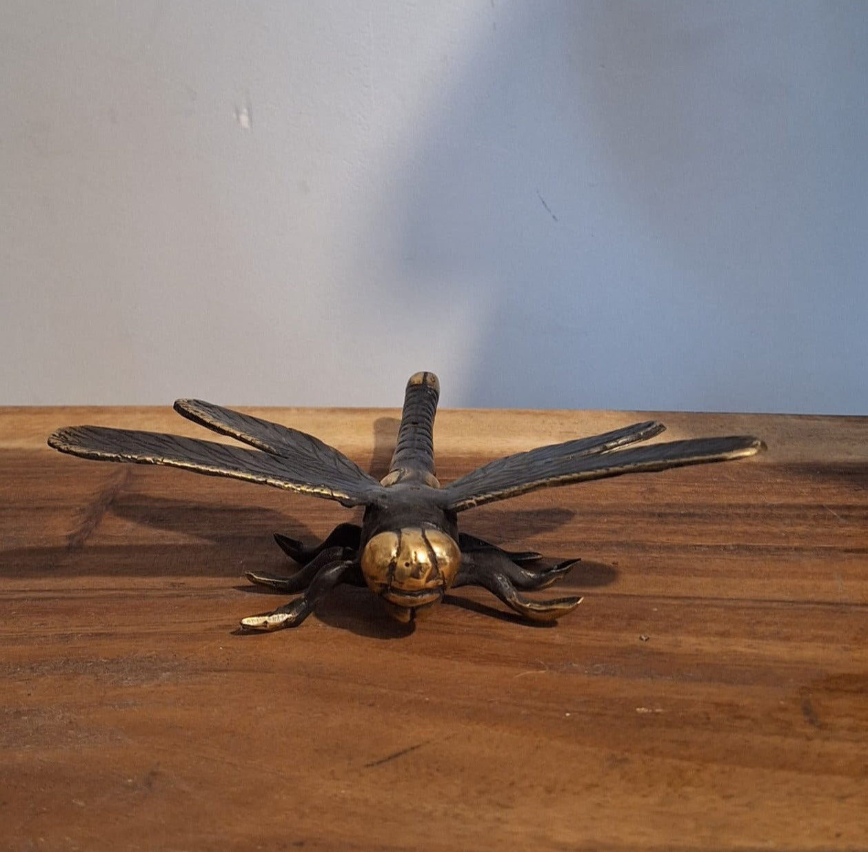 BRONZE DRAGONFLY