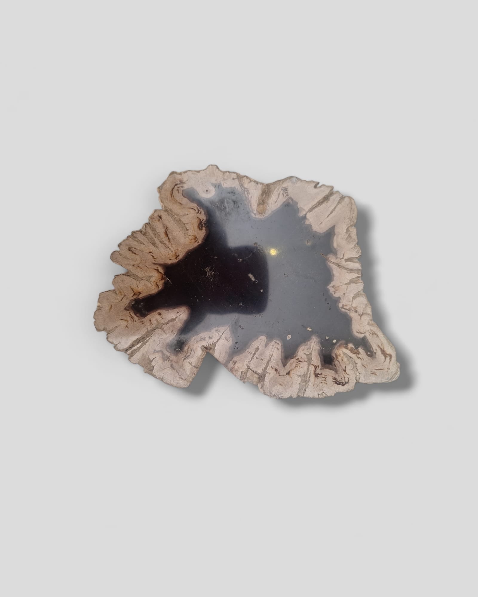 FOSSIL PRESENTATION PLATE