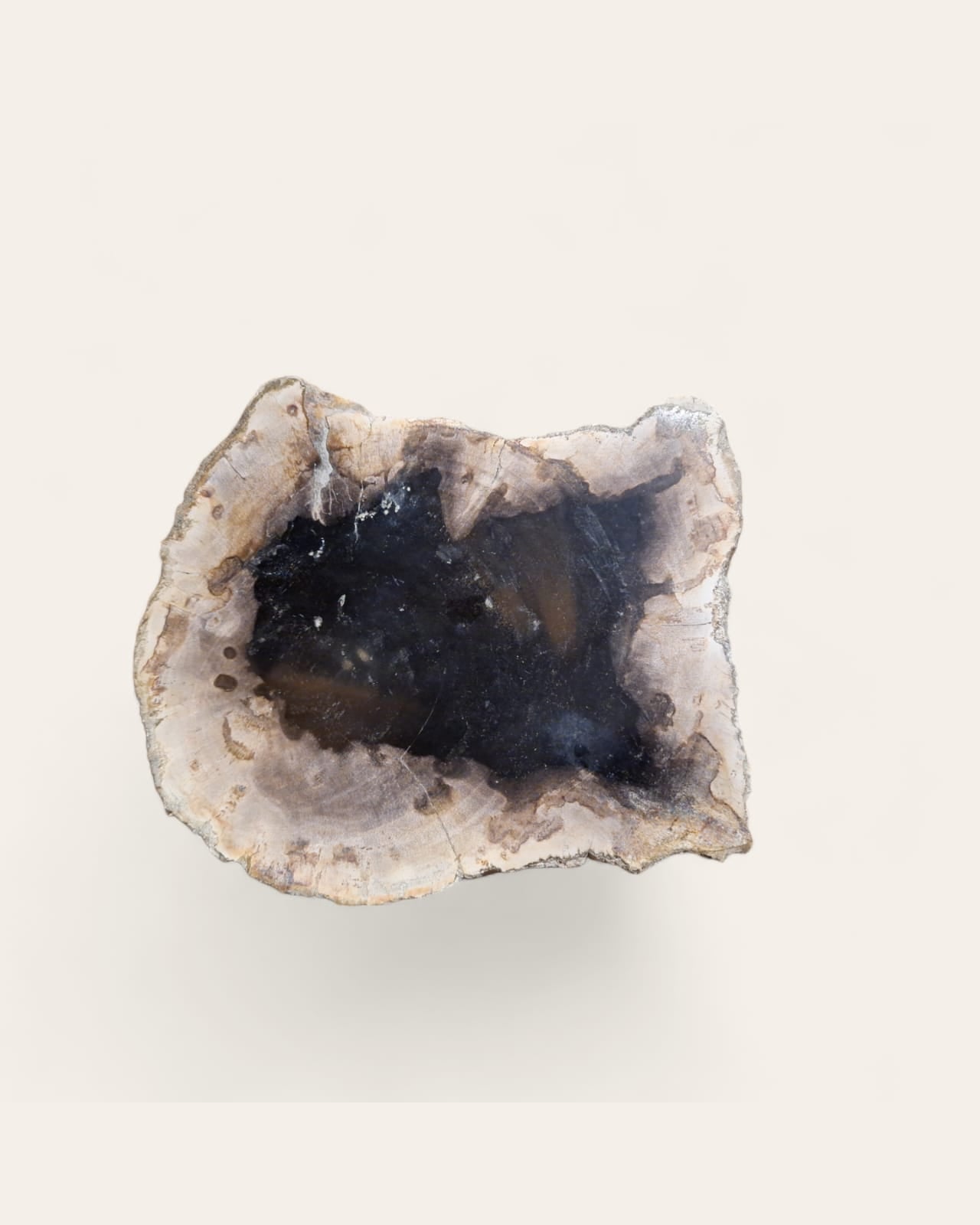 FOSSIL PRESENTATION PLATE