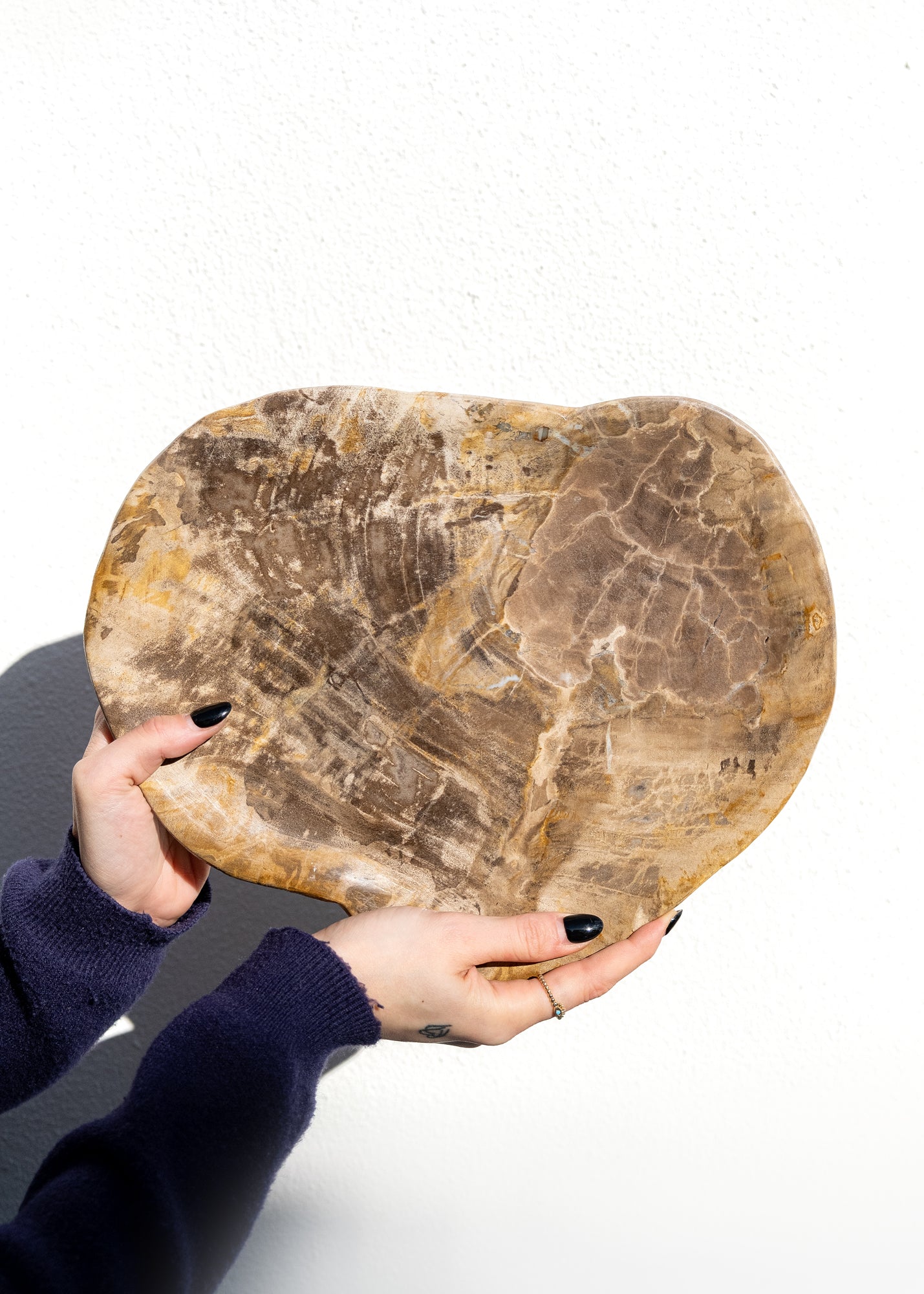 FOSİL SERVİS TABAĞI 006