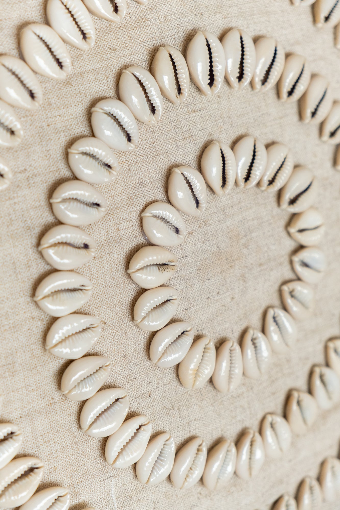 SHELL LİNE KIRLENT - 004