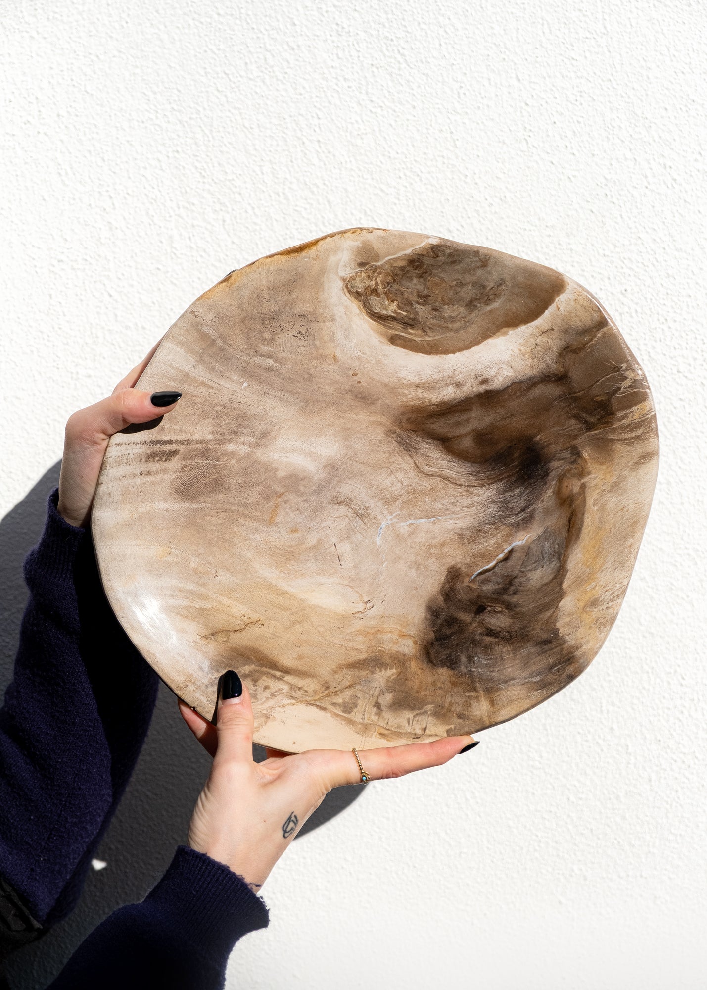 FOSİL SERVİS TABAĞI 002