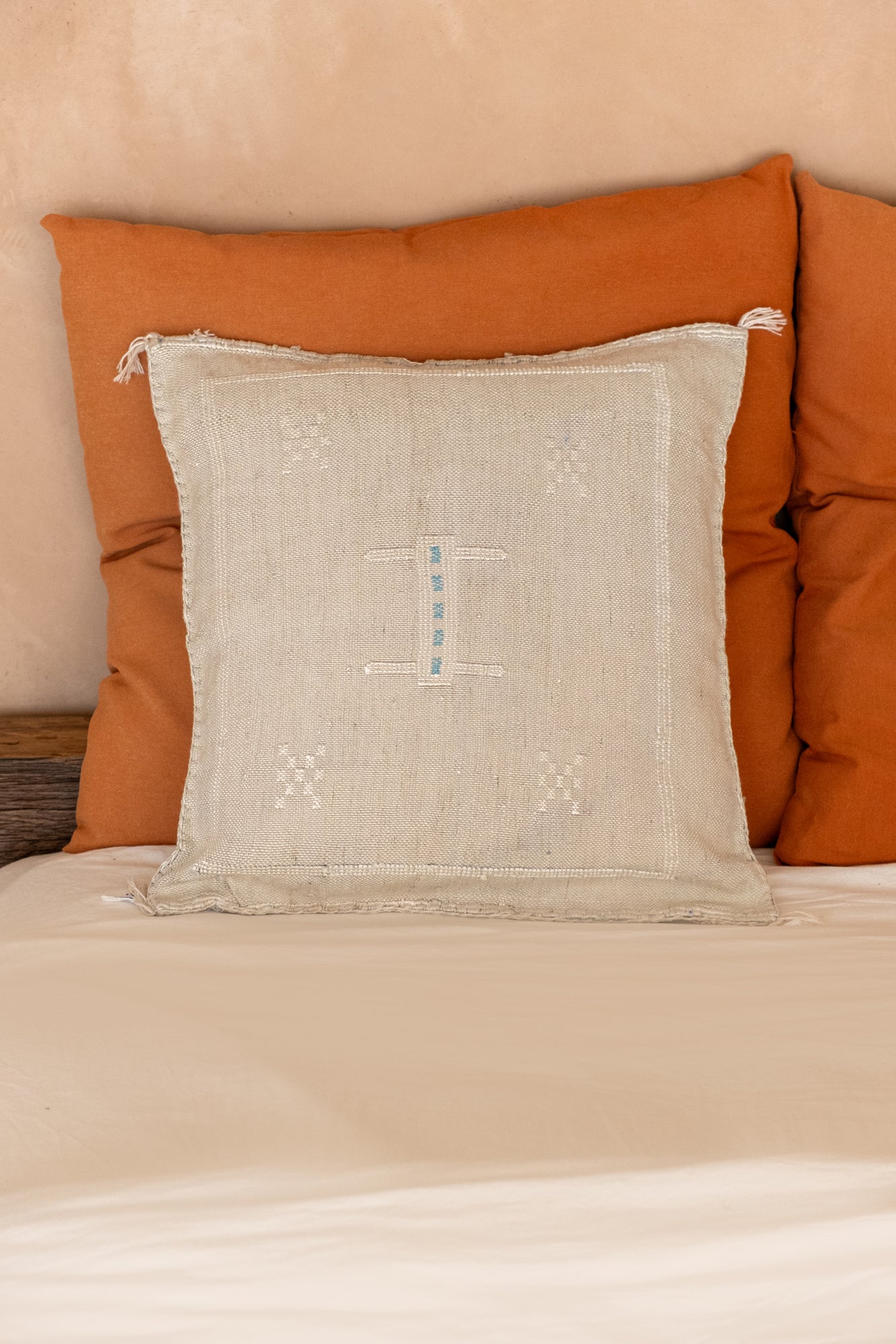 KAKTÜS LİFİ KIRLENT - 003