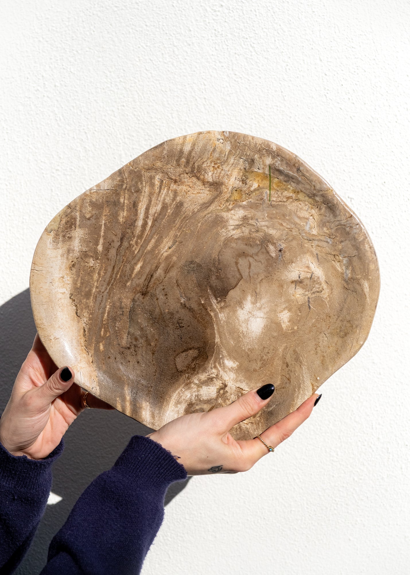 FOSİL SERVİS TABAĞI 004