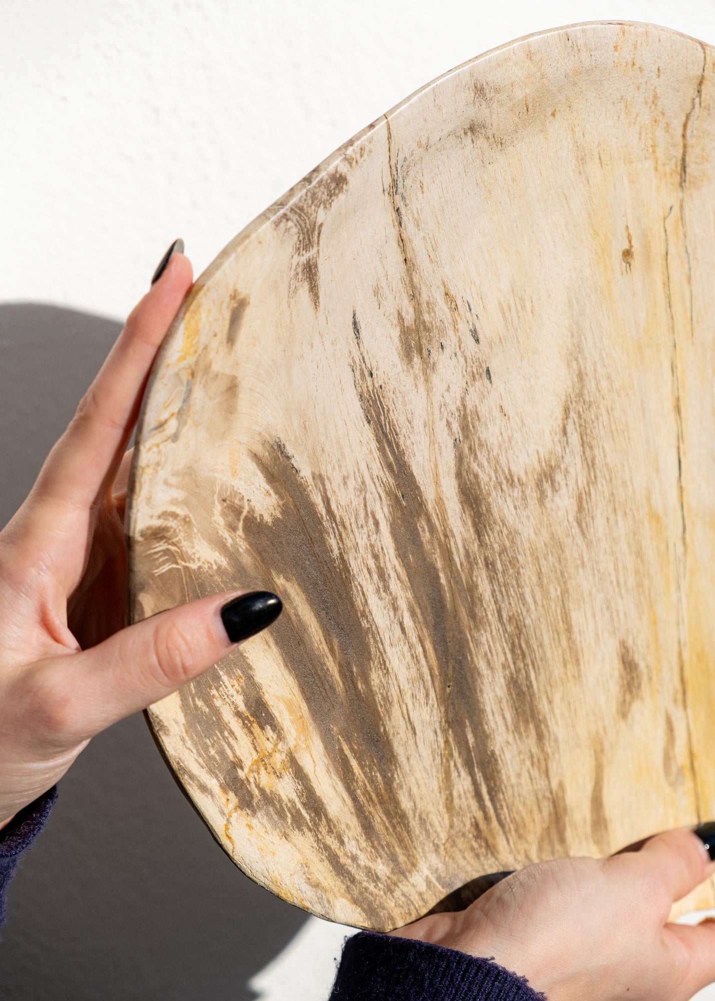 FOSİL SERVİS TABAĞI 003