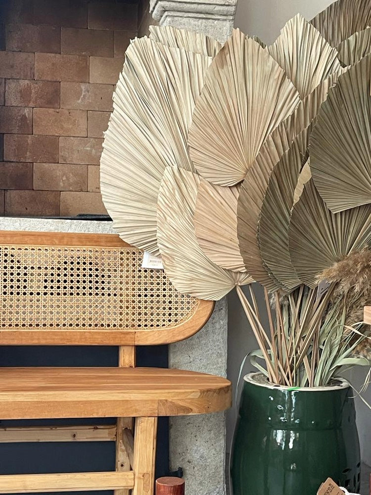 PALMİYE ORTA YAPRAK