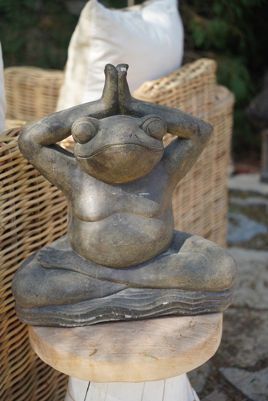 PRAYING STONE FROG