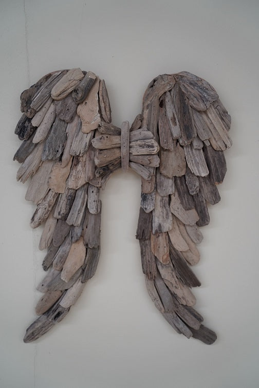 DINA WINGS