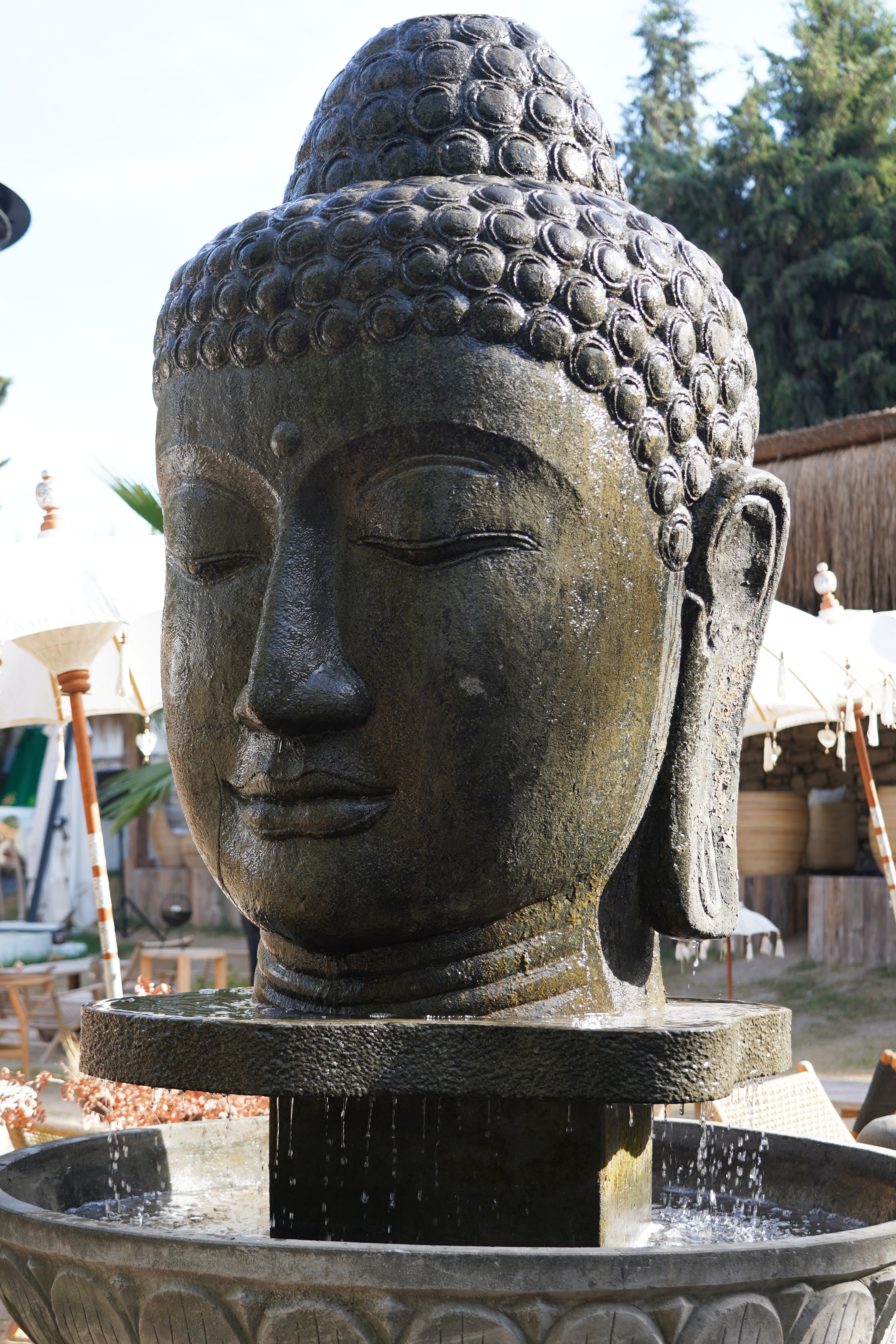 LARGE BUDDHA BUST WITH POOL
