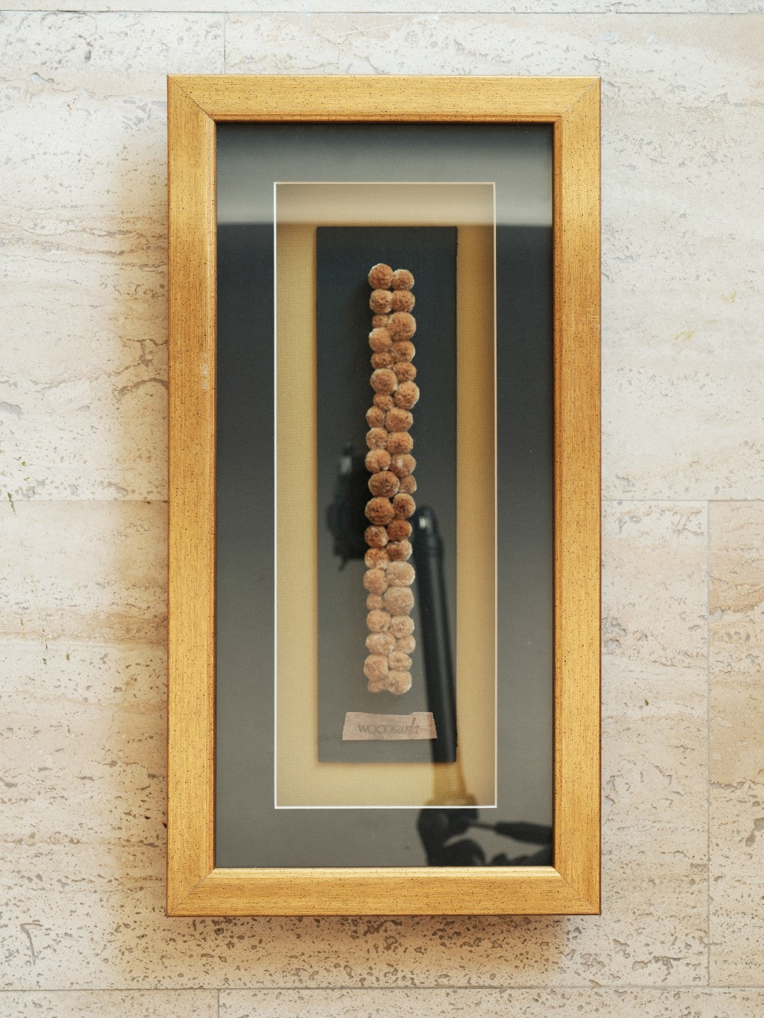 KÜRELERİN KAYITLARI 27x52x4cm
