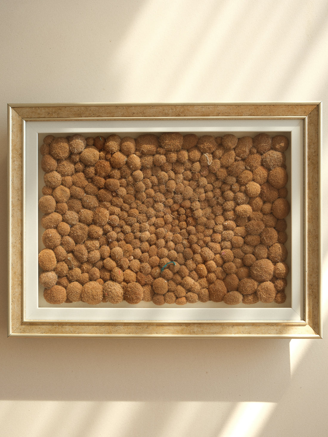 COĞRAFİ AİDİYET-1  65x49x8cm