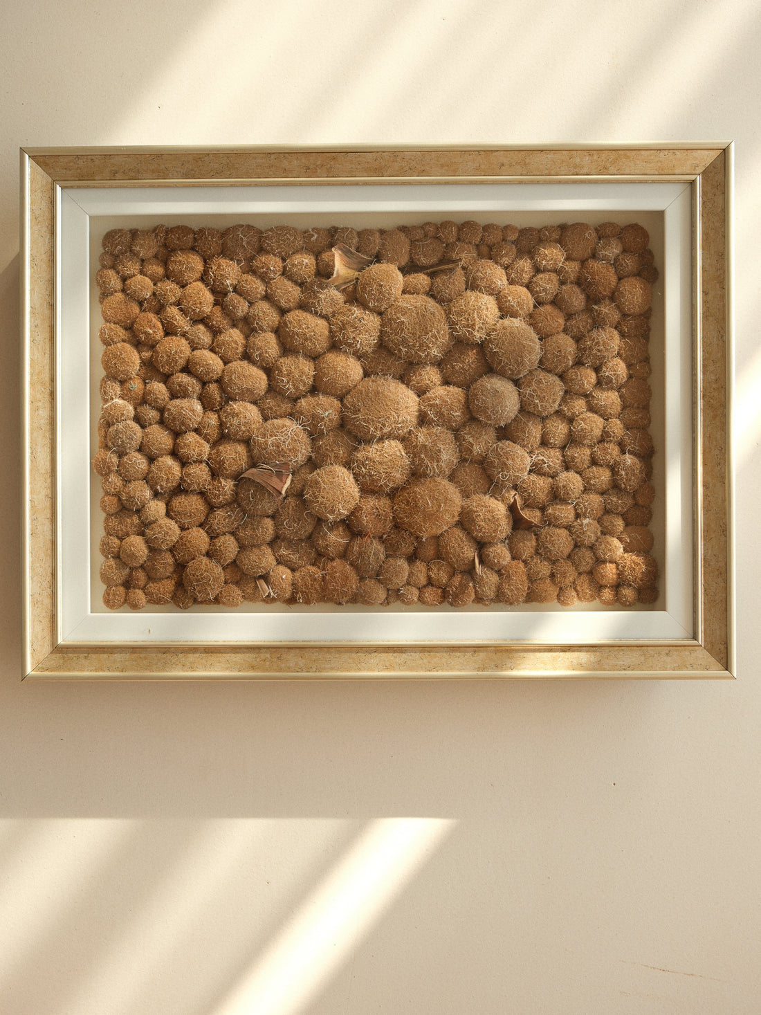 COĞRAFİ AİDİYET-2  65x49x8cm