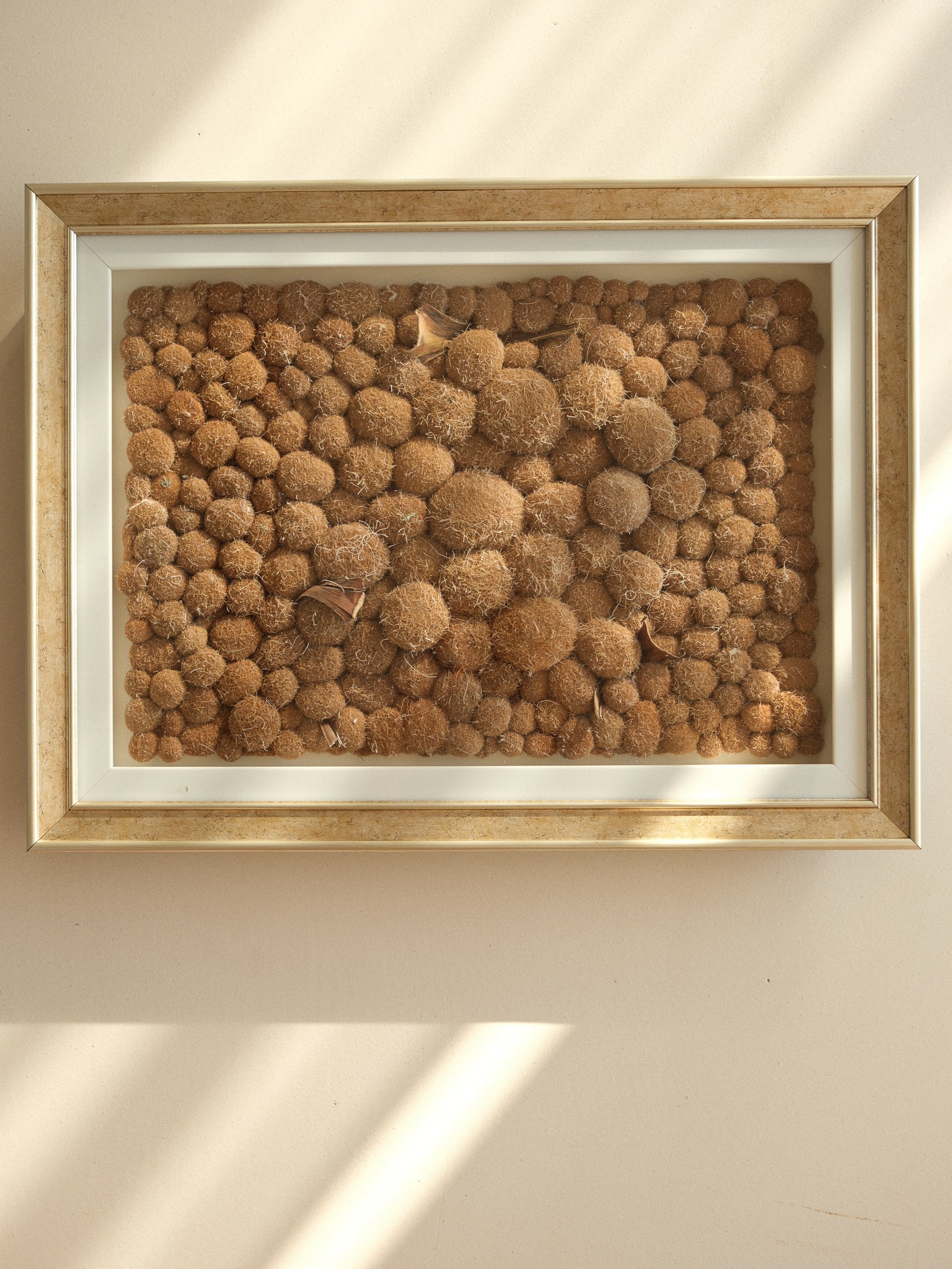 COĞRAFİ AİDİYET-2  65x49x8cm