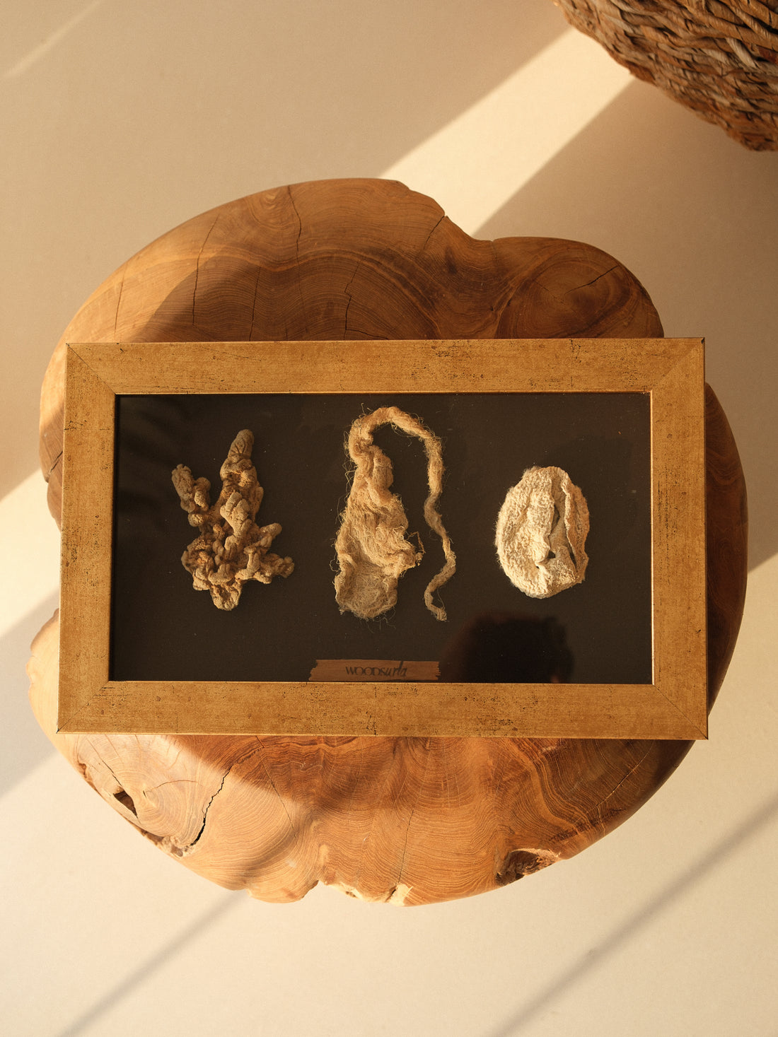 ÜÇ MAVİ YOSUN - 39x25x4cm