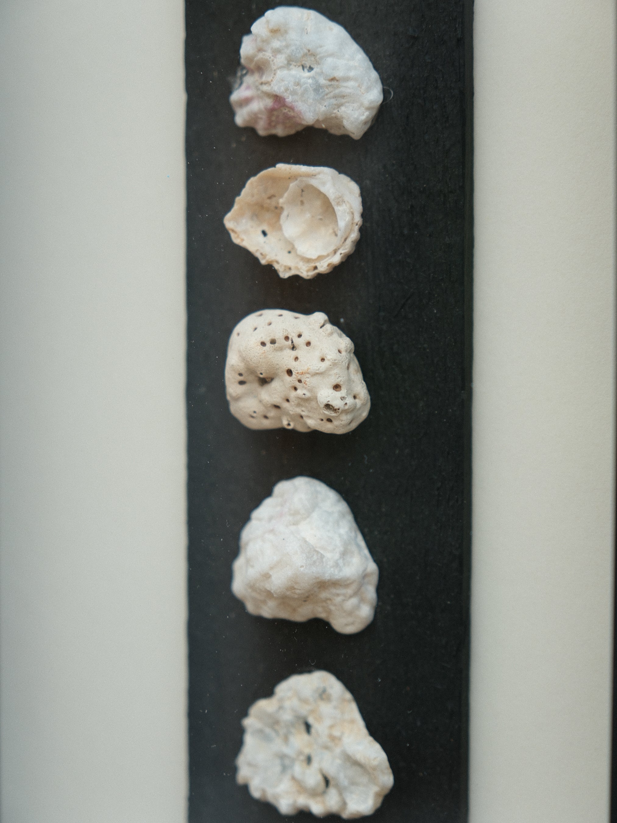 TUZ VE ZAMAN-3  19x90x4cm