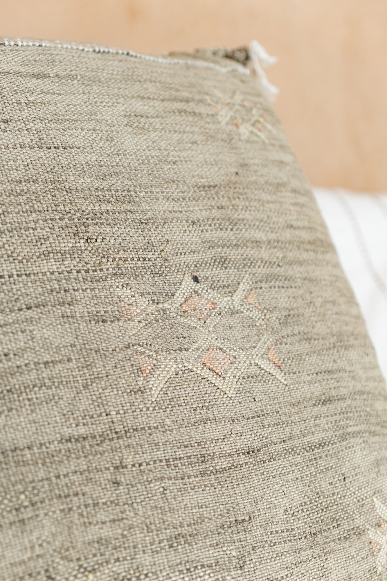 KAKTÜS LİFİ KIRLENT  - 006