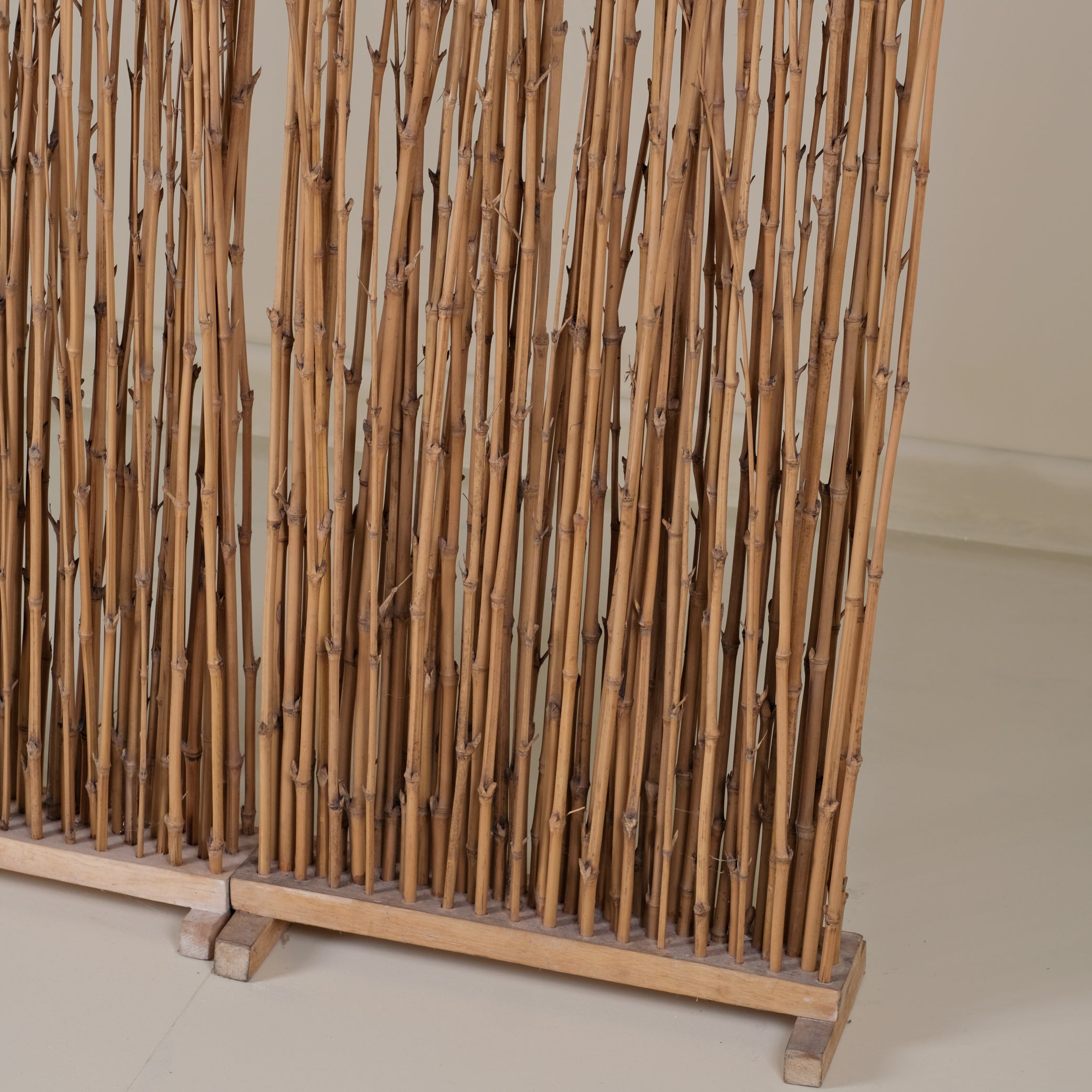 TEAK FOSSIL SEPARATOR