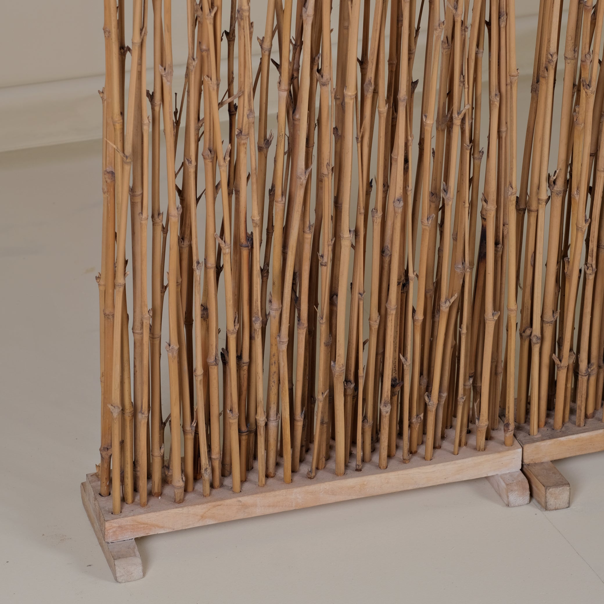 TEAK FOSSIL SEPARATOR