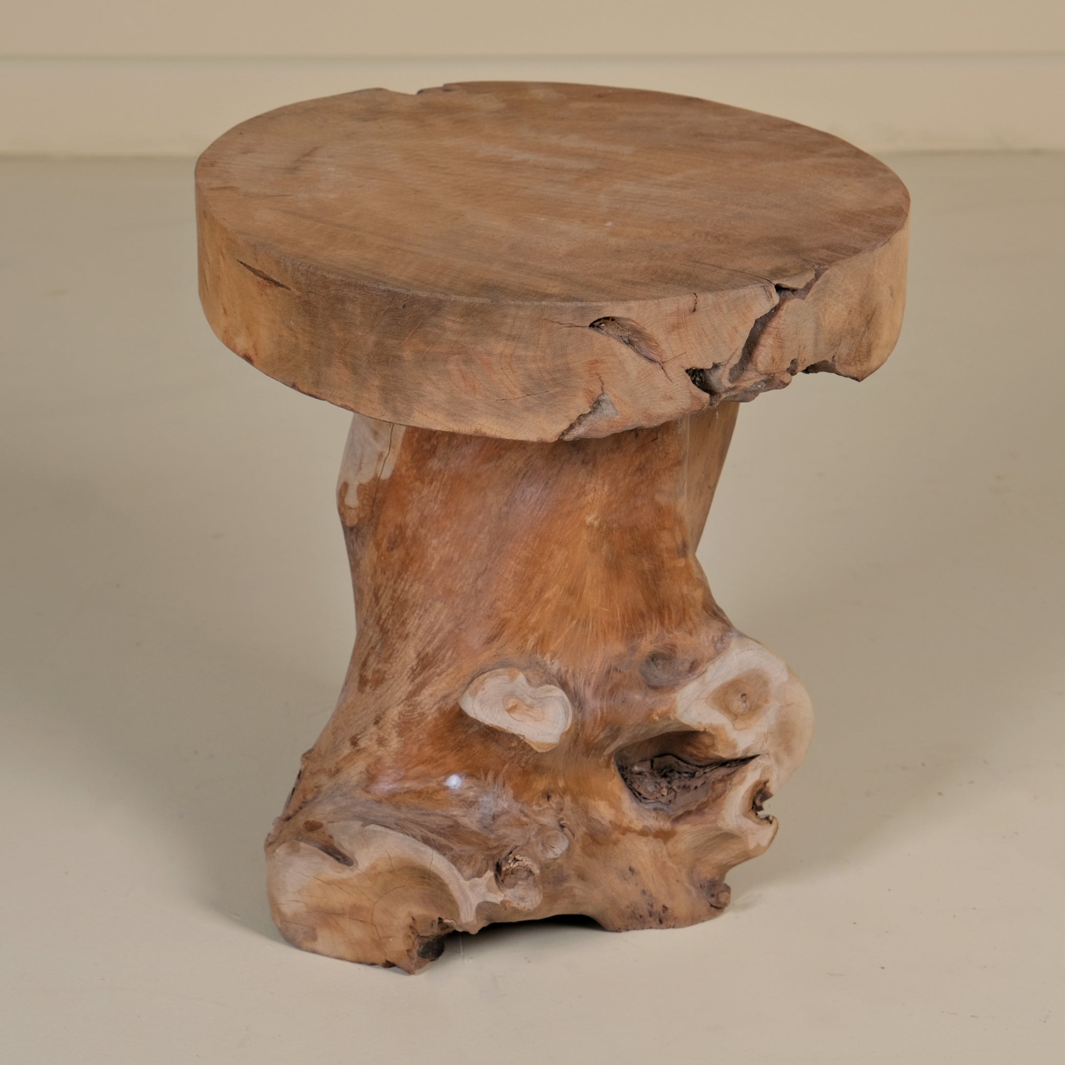 MUSHROOM TREE LOG