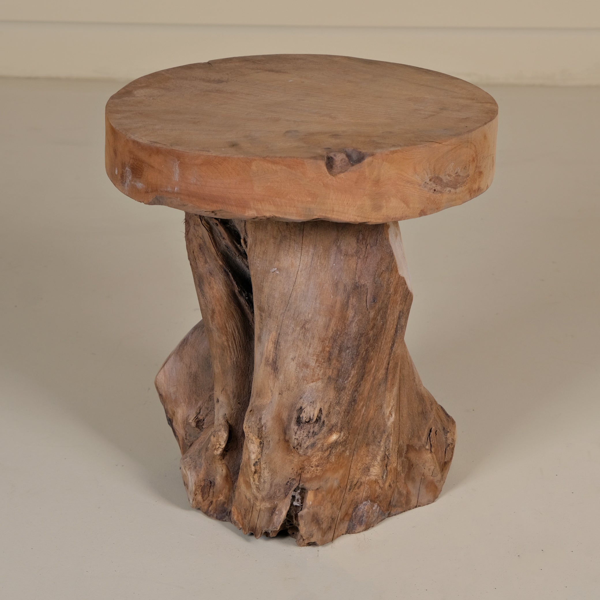 MUSHROOM TREE LOG