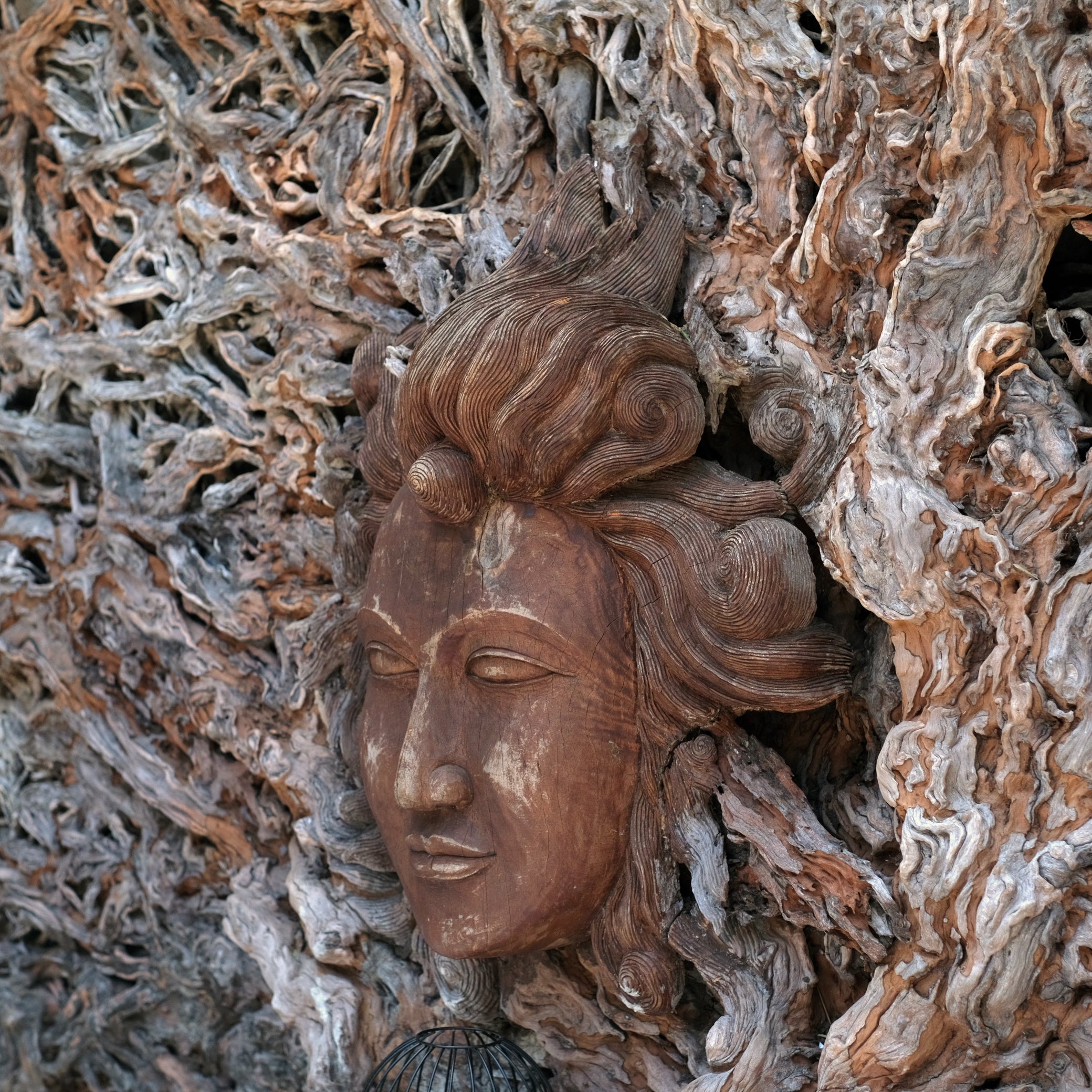 TEAK BUDDHA COSMO