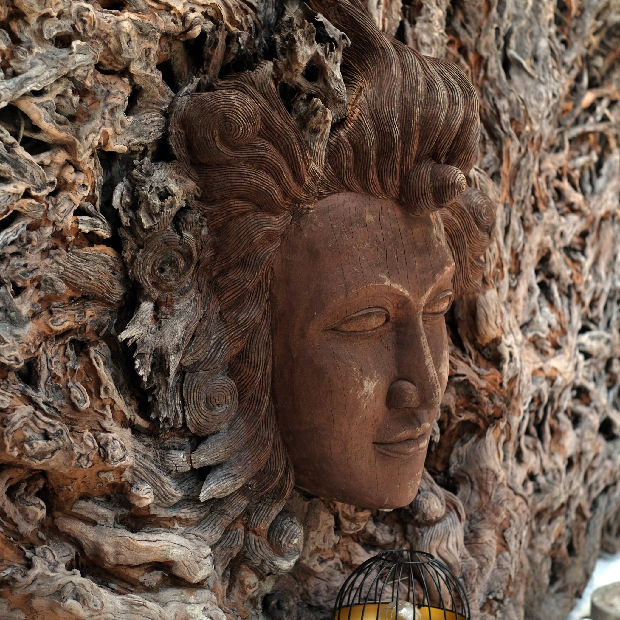 TEAK BUDDHA COSMO
