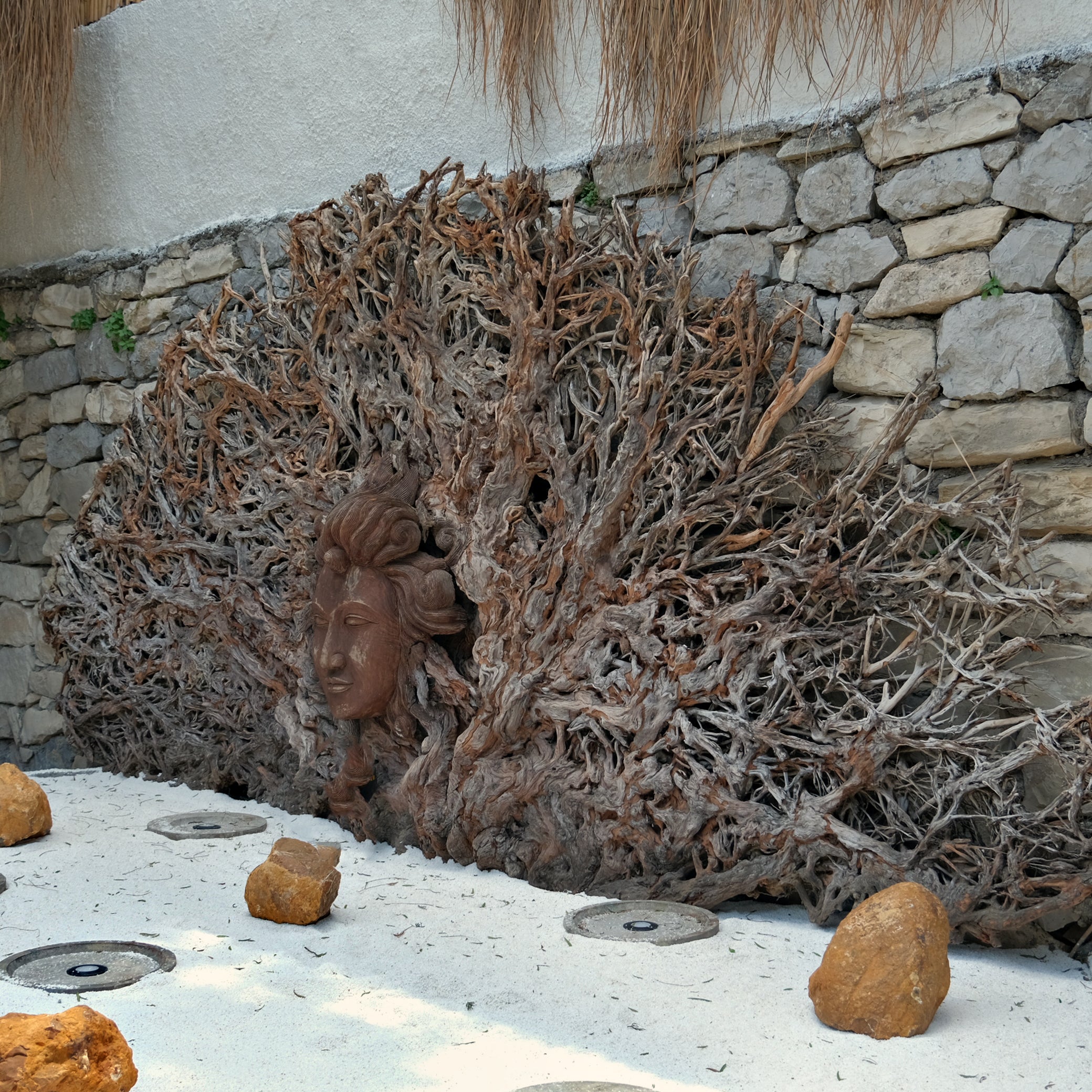 TEAK BUDDHA COSMO