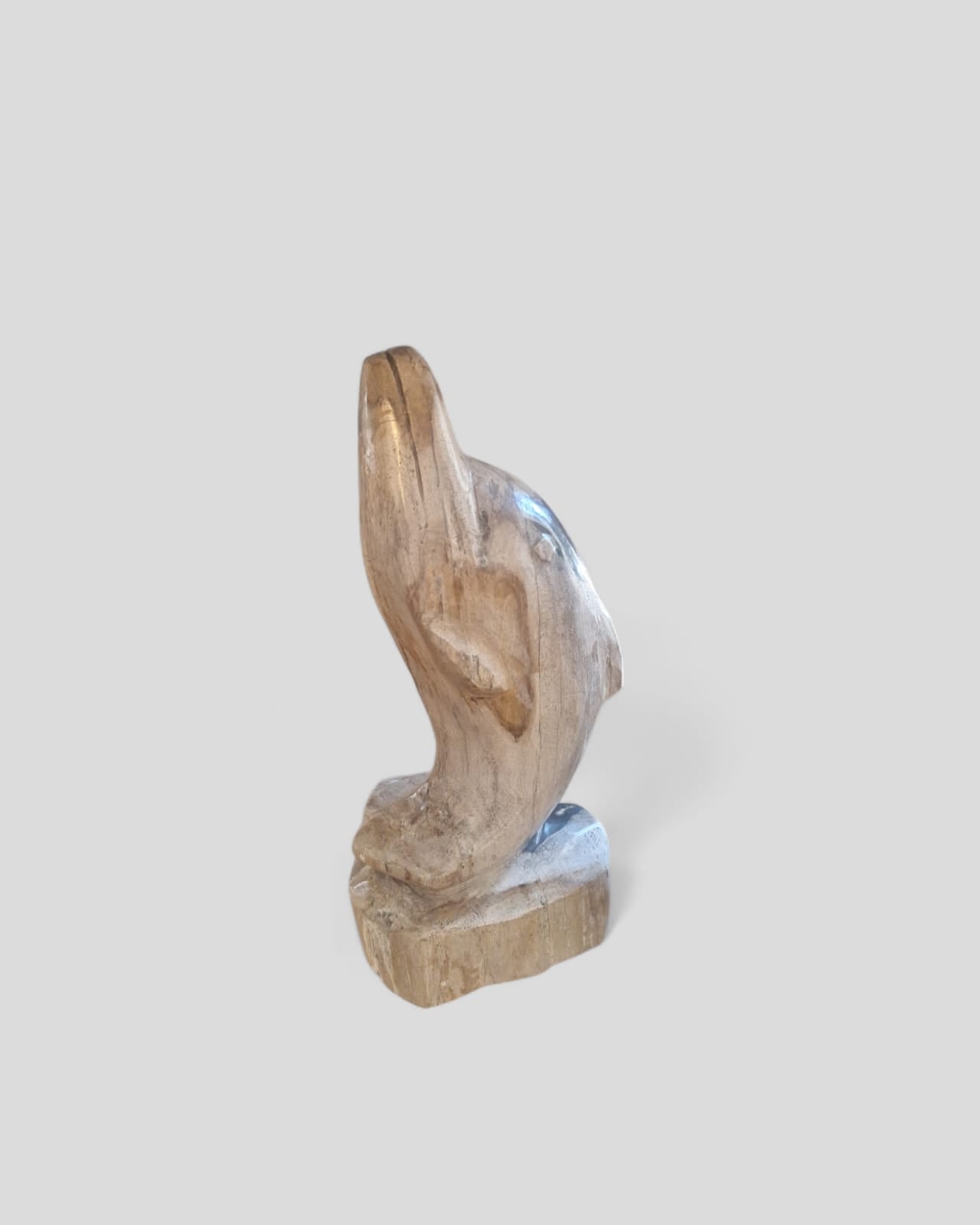 FOSSIL DOLPHIN