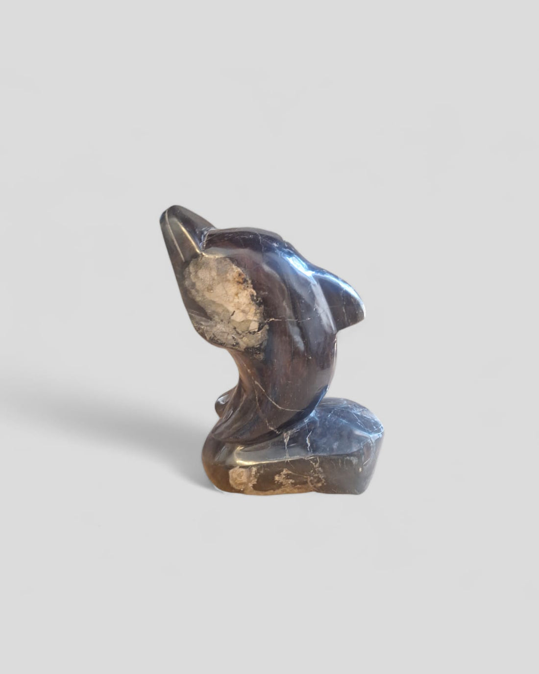 FOSSIL DOLPHIN