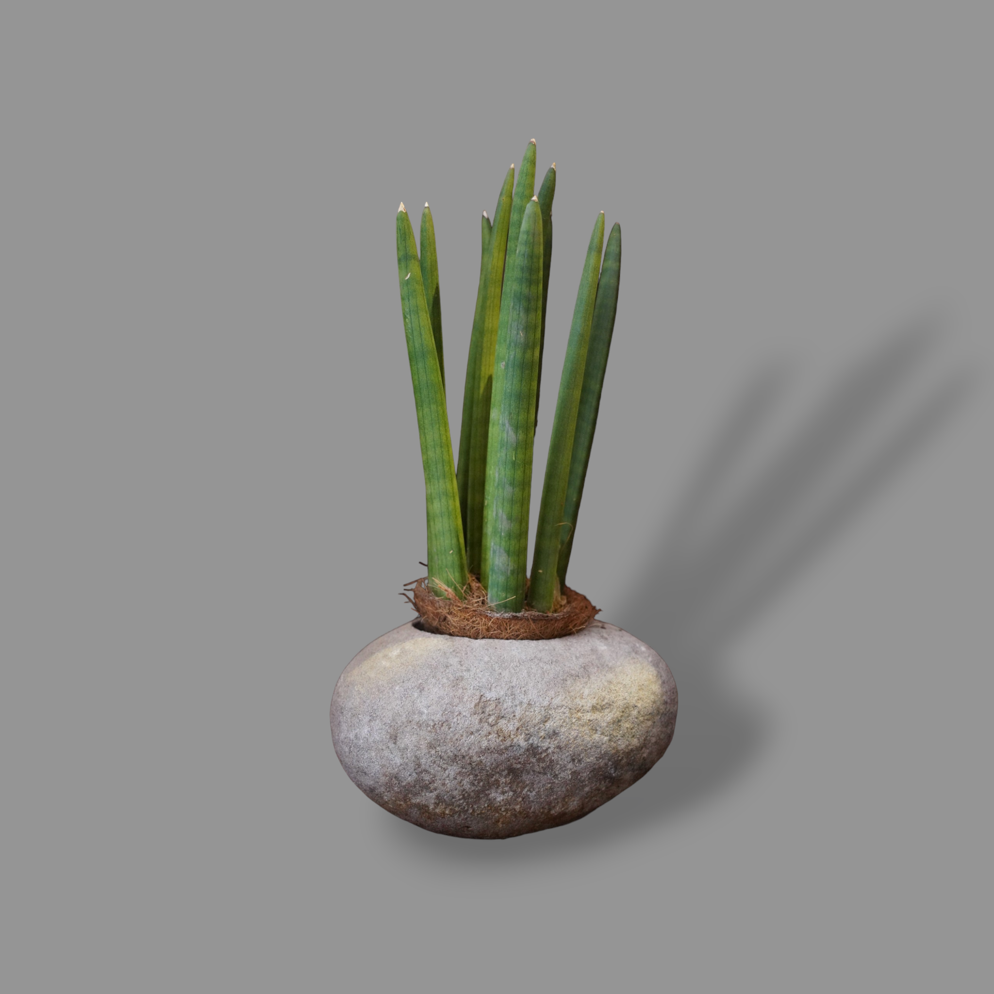 LARGE STONE BOWL