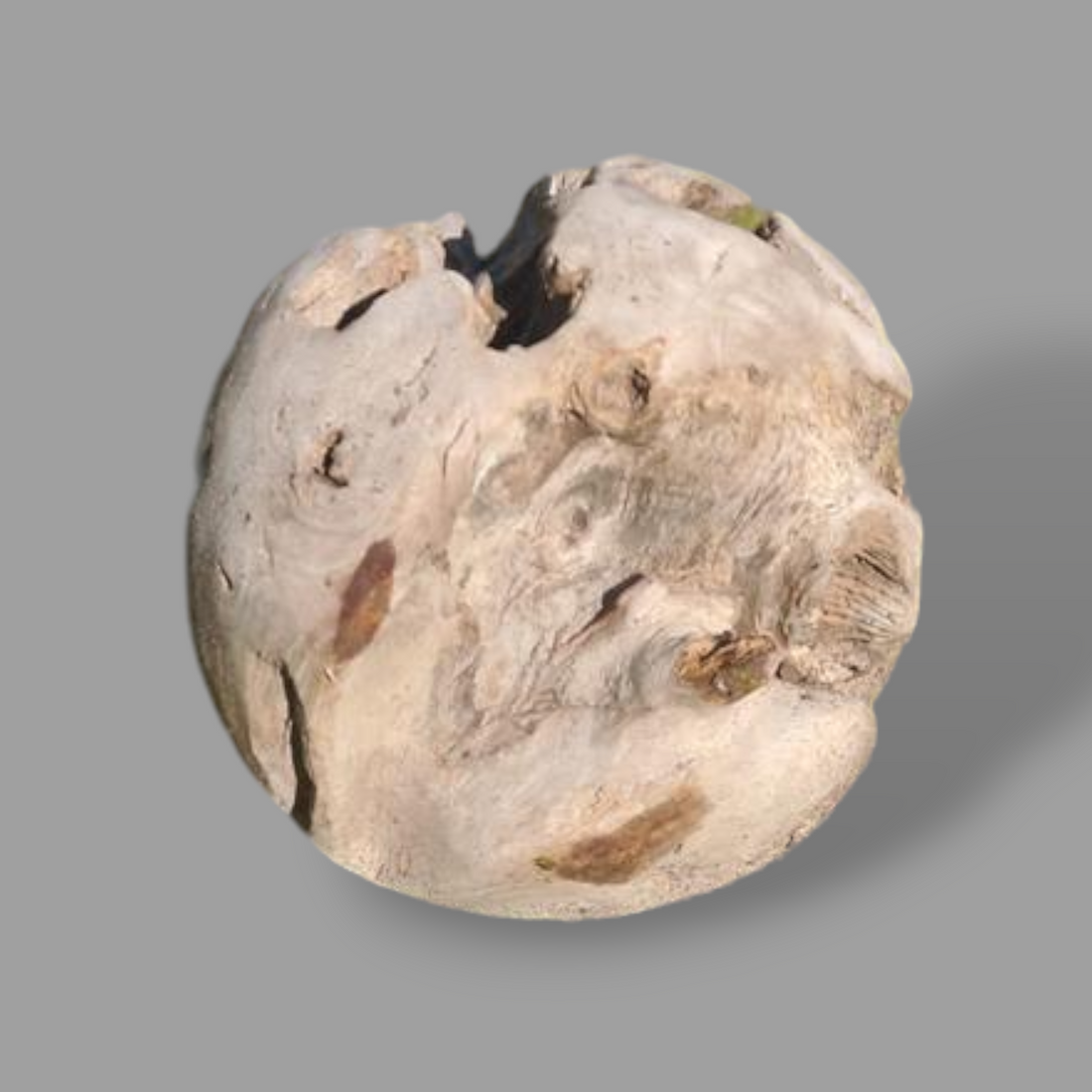 TEAK DECORATIVE BALL M