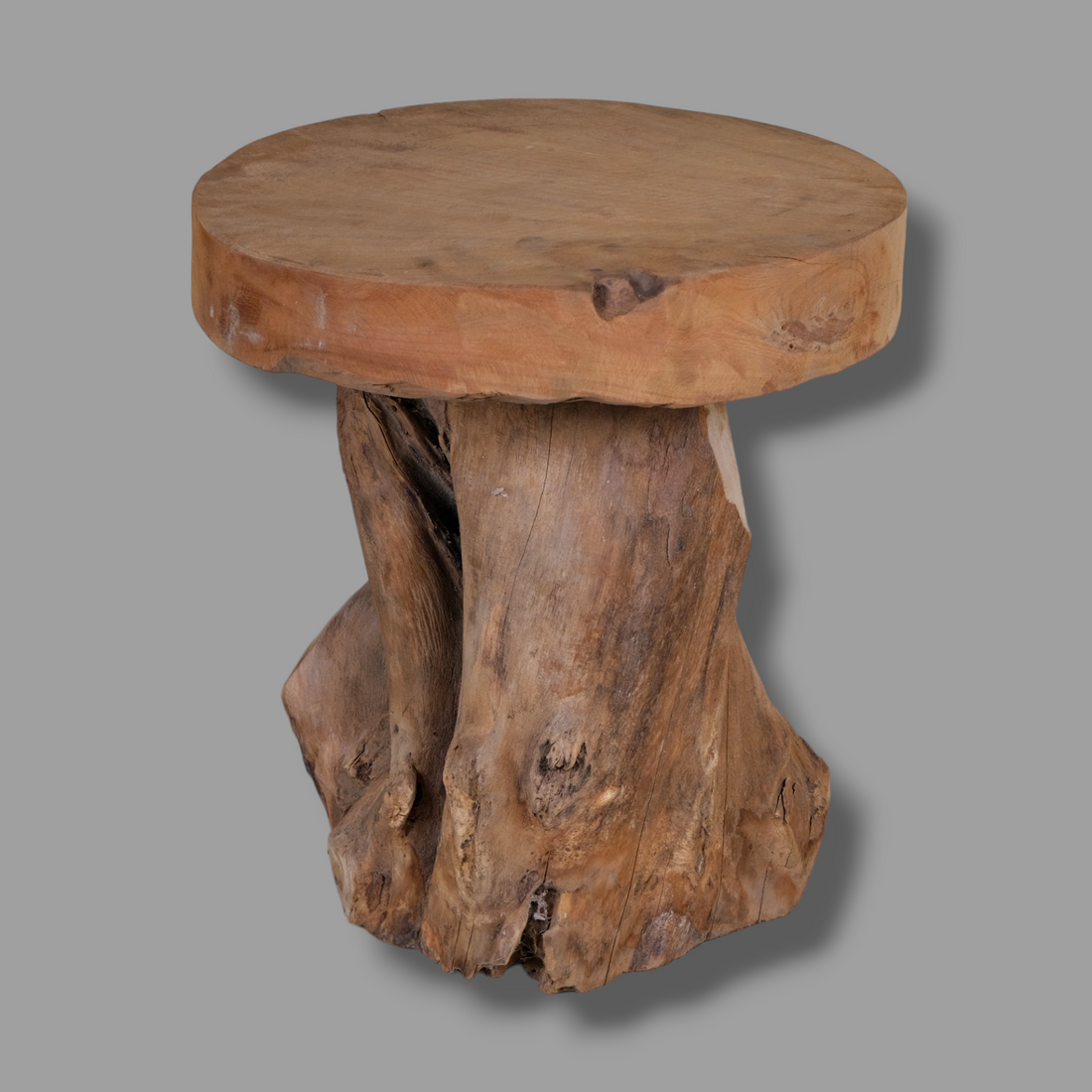 MUSHROOM TREE LOG