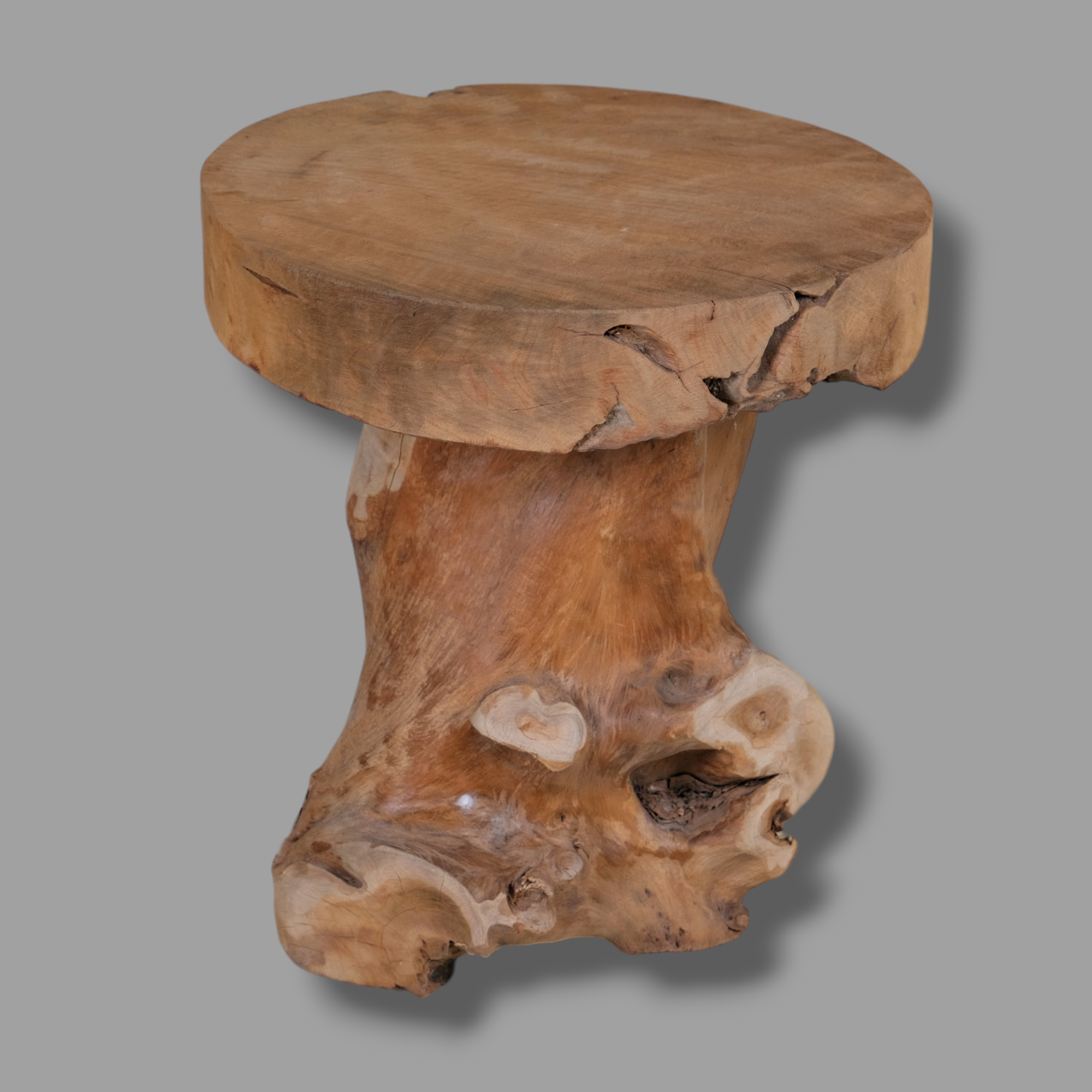 MUSHROOM TREE LOG