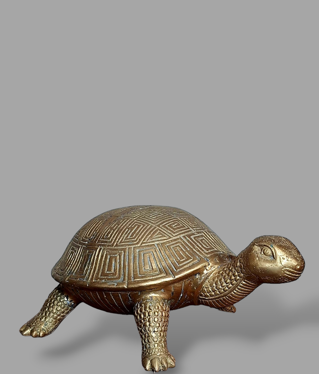 BRONZE TURTLE