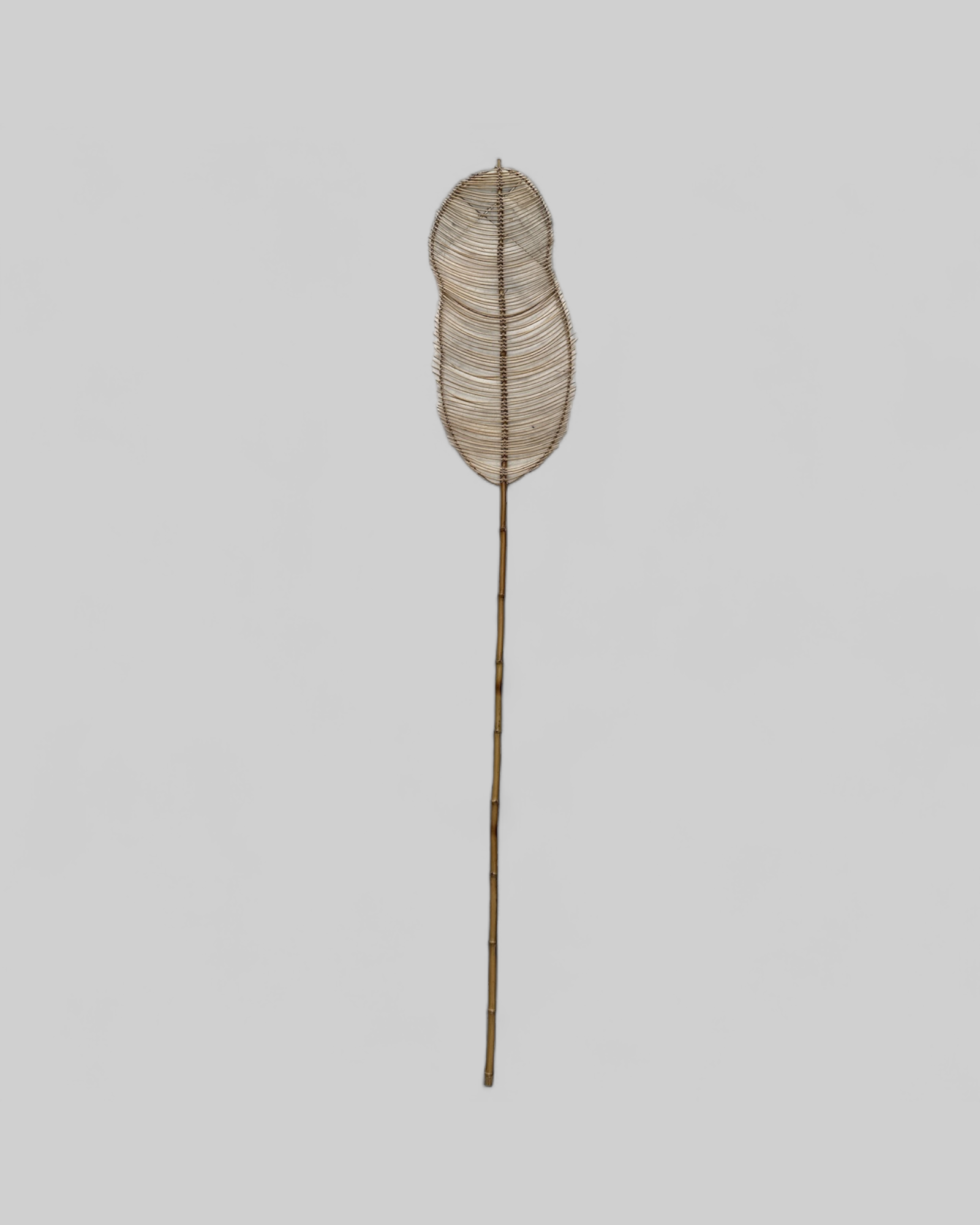 INTERVALS LEAF