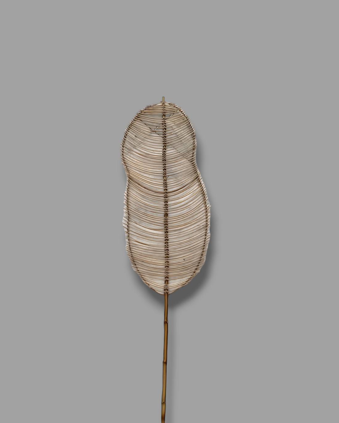INTERVALS LEAF
