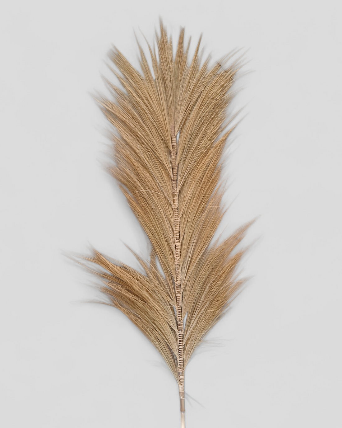 CORN TASSEL LEAF