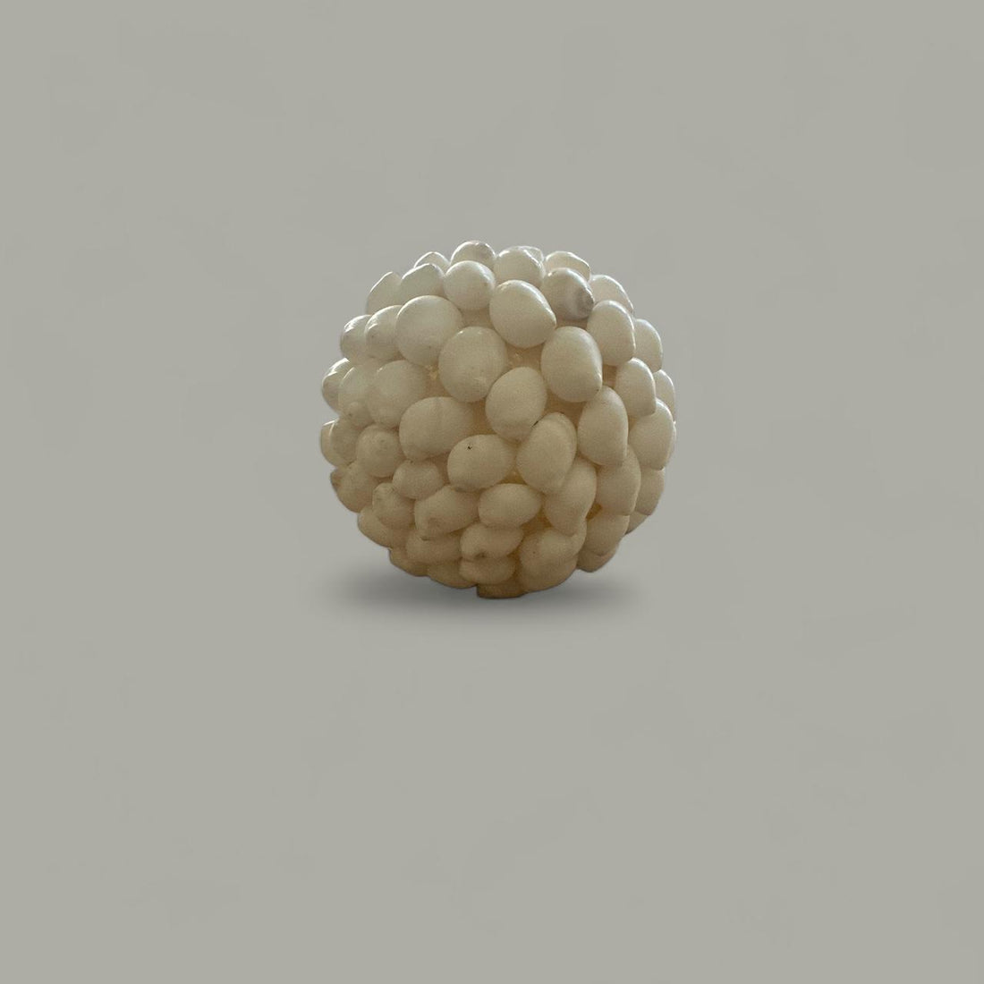 TOP SHELL DECOR S