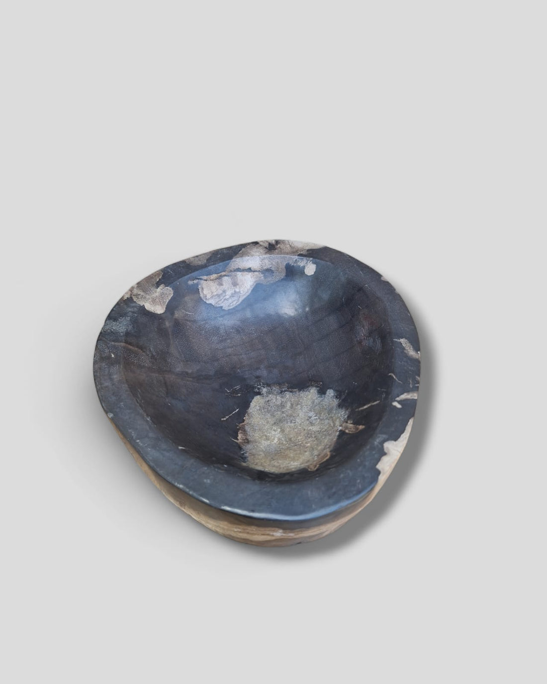 FOSSIL DEEP PLATE