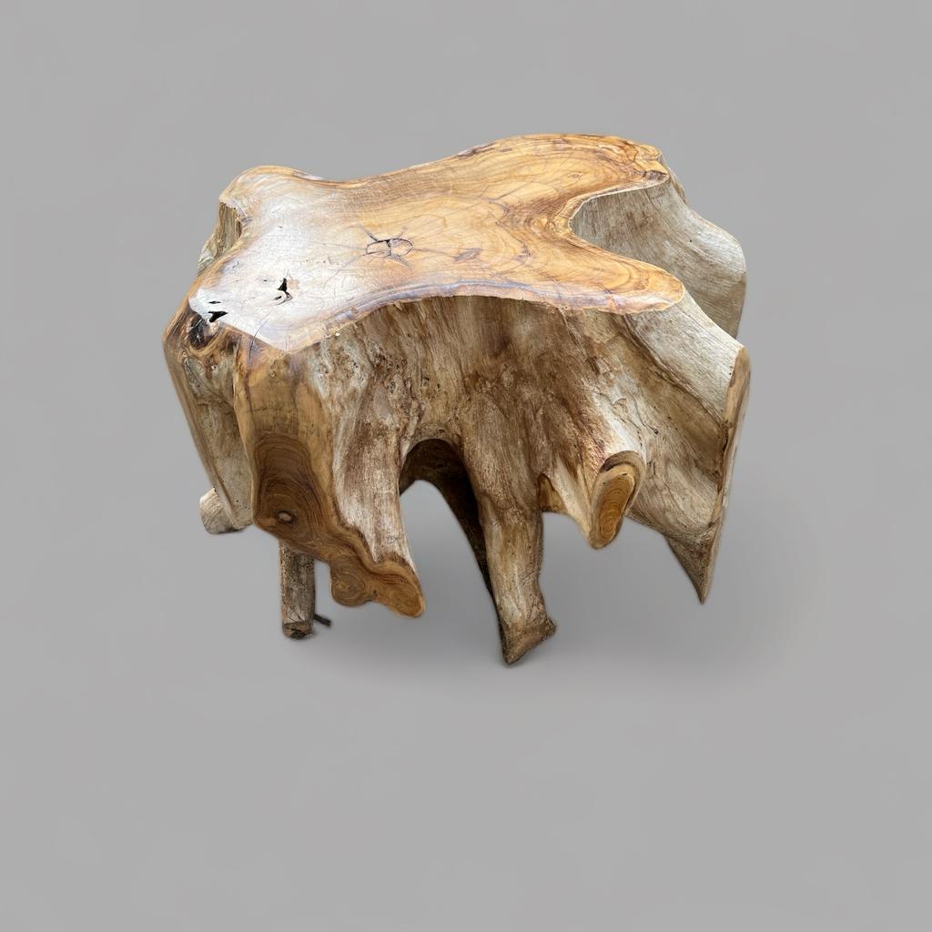 SUSILA COFFEE TABLE