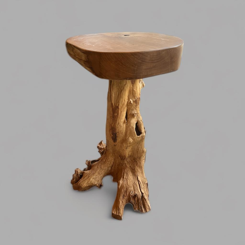 MUSHROOM TREE LOG L