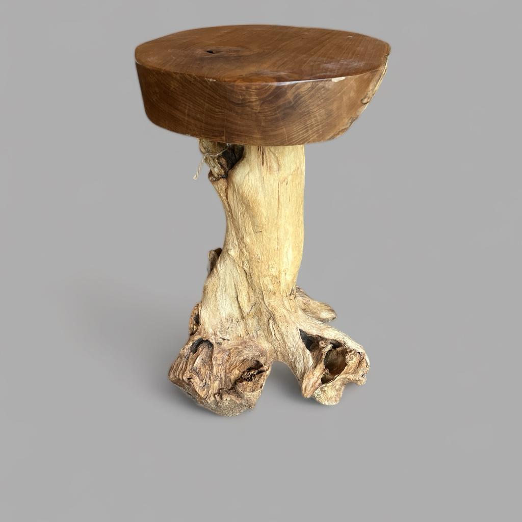 MUSHROOM TREE LOG L