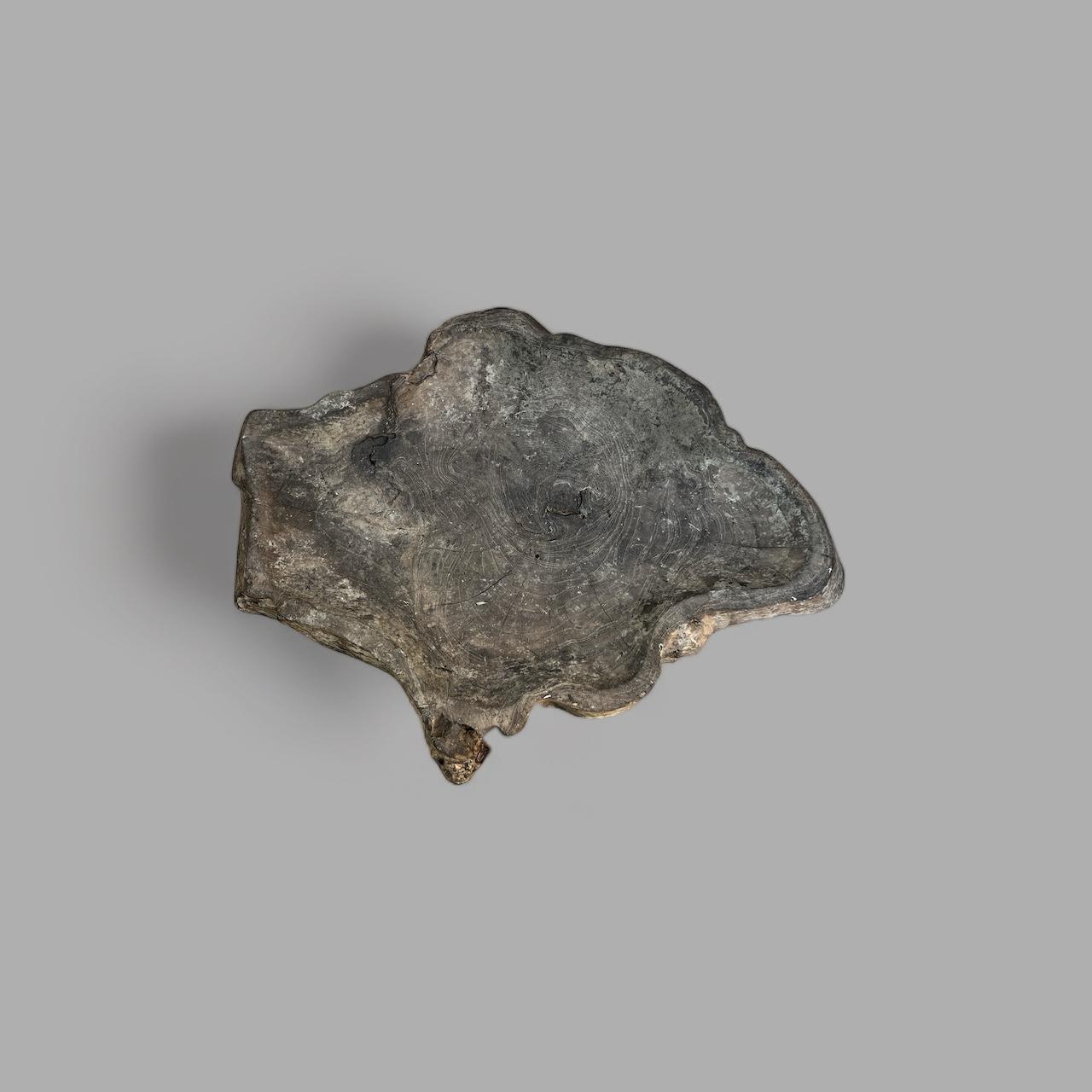 ASYMMETRIC PLATE