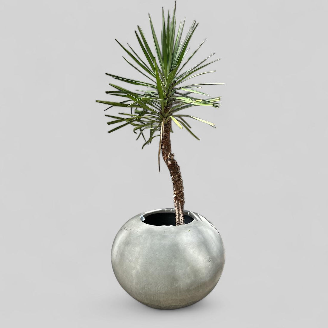 BAGUS VASE M