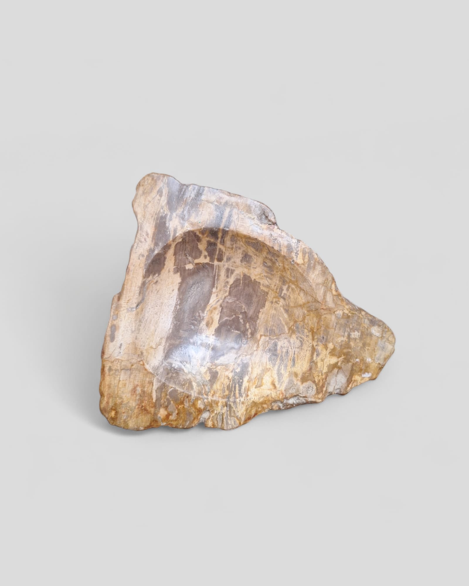FOSSIL BOWL