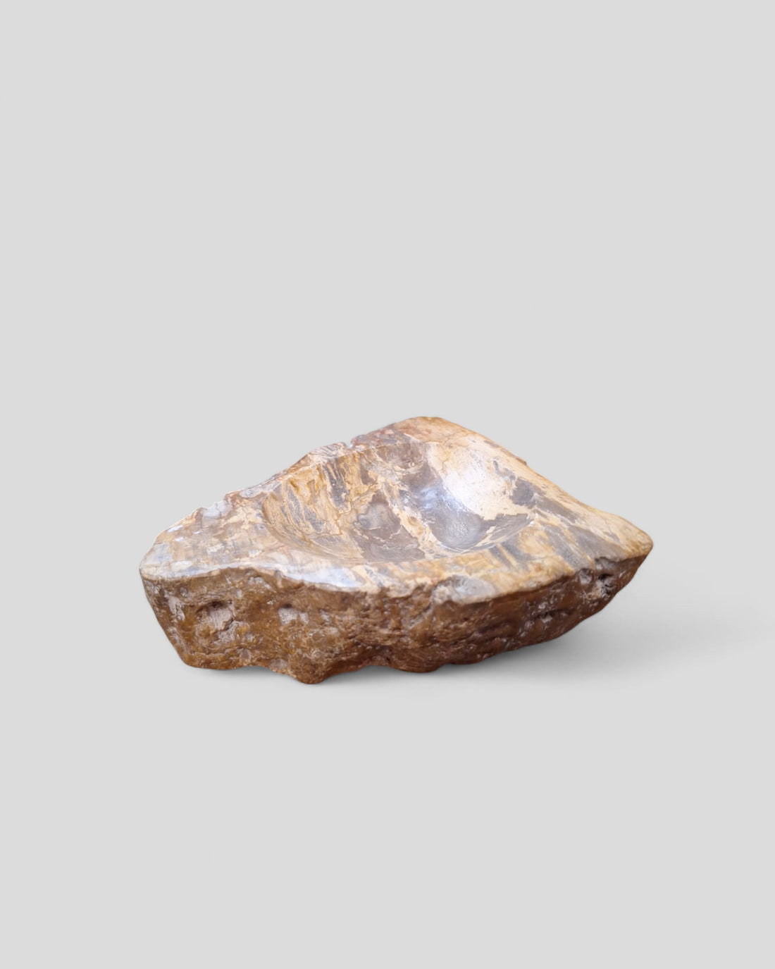 FOSSIL BOWL
