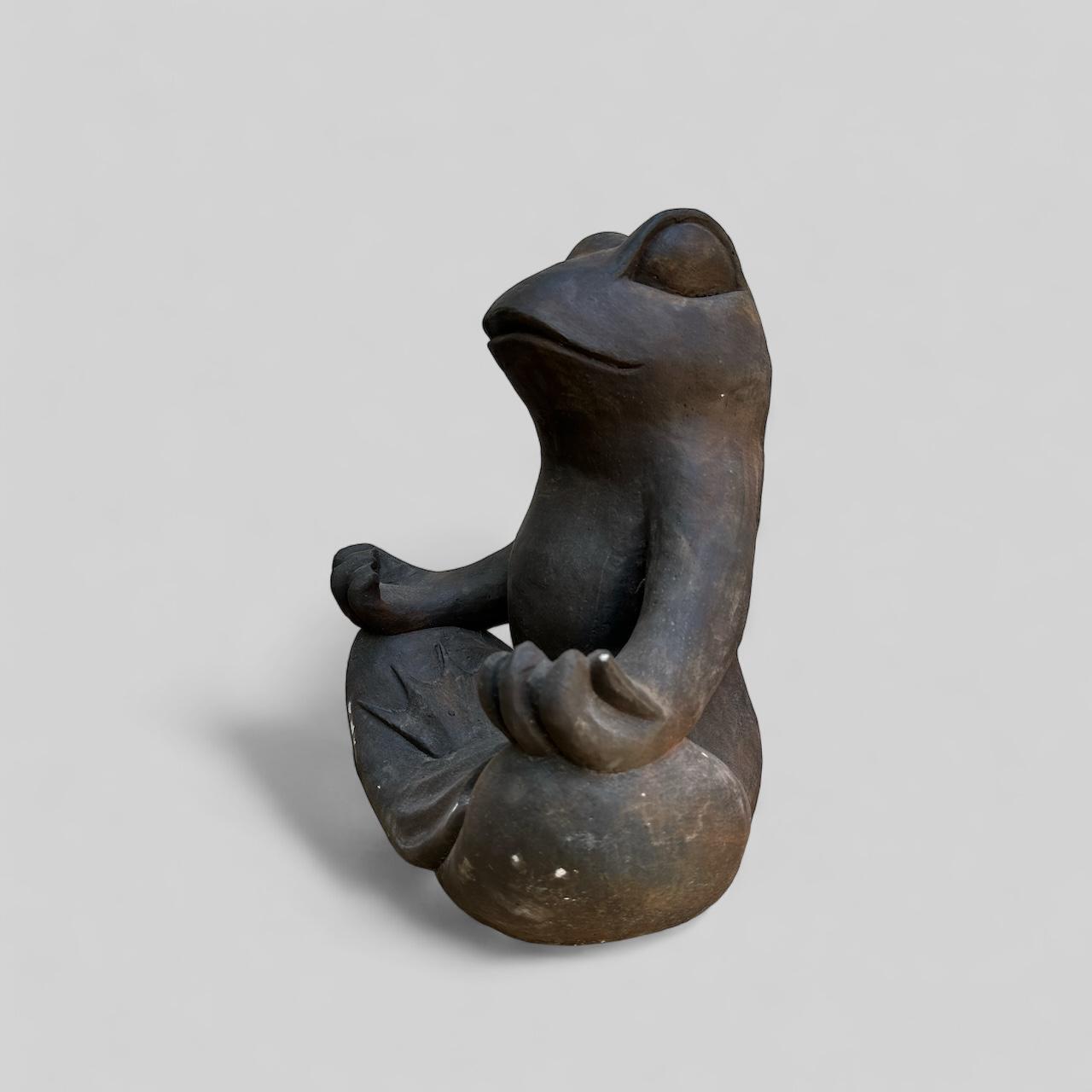 MEDITATION FROG